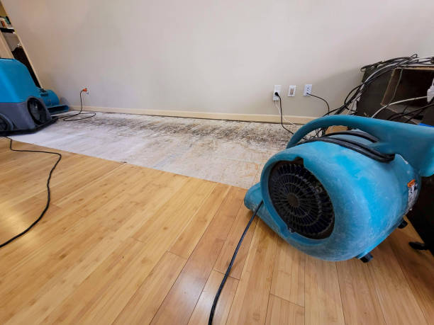 Professional Flood Damage Cleanup technician working in Hooper, NE